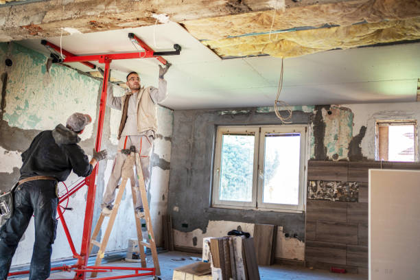 Best Specialized Insulation Services in Beaver Dam, KY